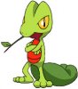 Treecko.jpg