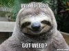 weedsloth.jpg